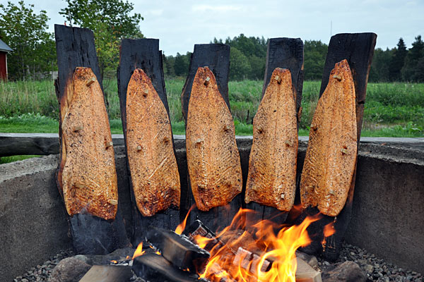 Grillet laks Grillet laks