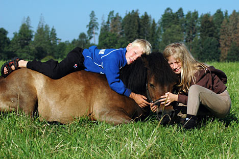 Svensk hesteferie