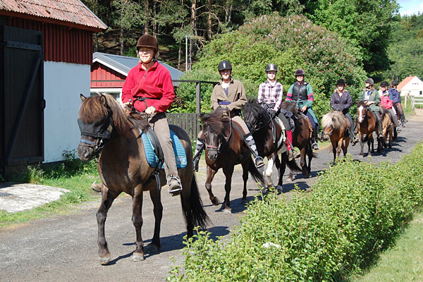 Rideferie på islandske heste