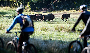 Eriksberg Vildt- og Naturpark i Blekinge