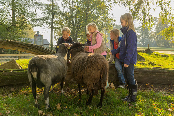 Ferie med børn Ferie med børn