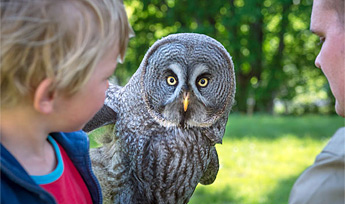 Familietur til Skånes Dyrepark