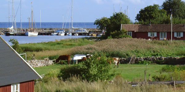 Campingpladsen ligger smukt på sydspidsen af en halvø