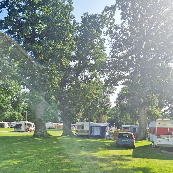 Campingen har plads til campingvogne / telte