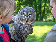 Skånes Dyrepark