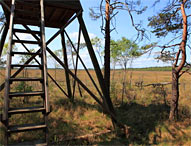 Gölsjömyren Naturreservat. Foto: © sydsverige.dk