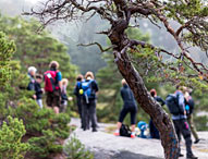 Utvandrarleden. Foto: Henrik Trygg/imagebank.sweden.se