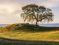 Skåneleden - Österlenleden. Foto: Anders Tukler