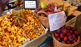 Efterårets høstmarkeder i Sverige