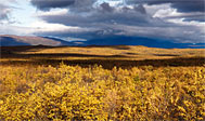 Kungsleden: Abiskojaure - Abisko