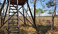 Gölsjömyren Naturreservat