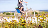 Gotlandsleden - cykelruten på Gotland