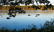 Långasjönäs Naturreservat