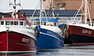 Havnen i Simrishamn