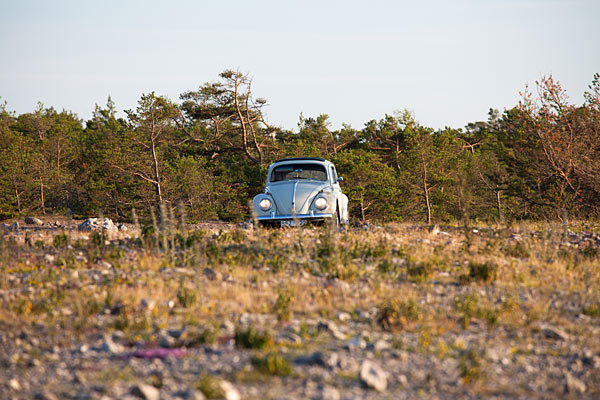 Digerhuvud på Fårö