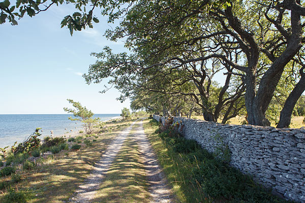 Kystvej på Fårö