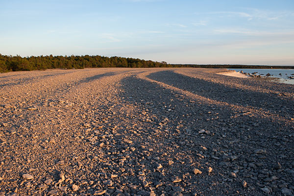 Strandvallar ved Gamle Hamn på Fårö 