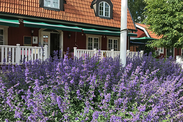 Oxgården i Vimmerby Oxgården i Vimmerby