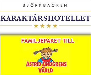 Björkbacken Hotel og Camping i Vimmerby