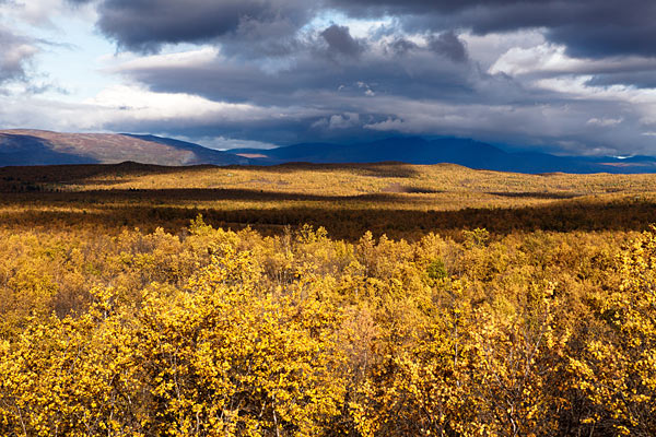 Udsigt over Abisko Nationalpark