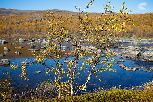 Abiskojaure - Abisko