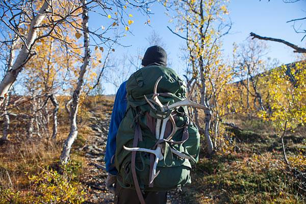 Abiskojaure - Abisko