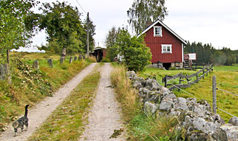 Traditionelt rødt torp nær sø med båd