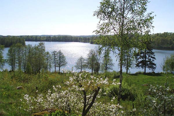 Dejlig stor sø ved ødegården Dejlig stor sø ved ødegården