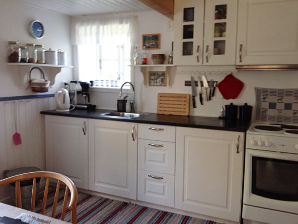 Ødegård i Halland - køkkenbord med el-komfur