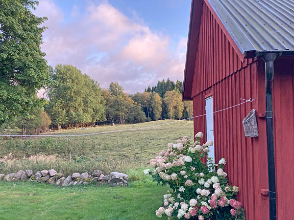 ødegård ved Lidhult i Småland