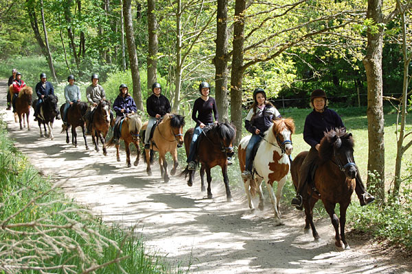 Hold rideferie på Hallamölla Gård