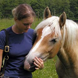 Hest og rytter