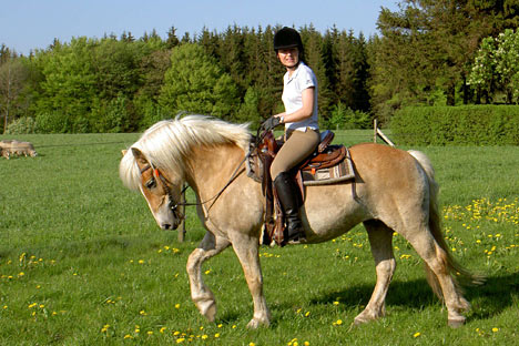 Svensk rideferie