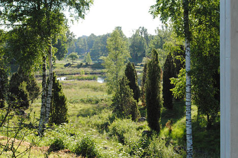 Udsigt fra sommerhuset Udsigt fra sommerhuset