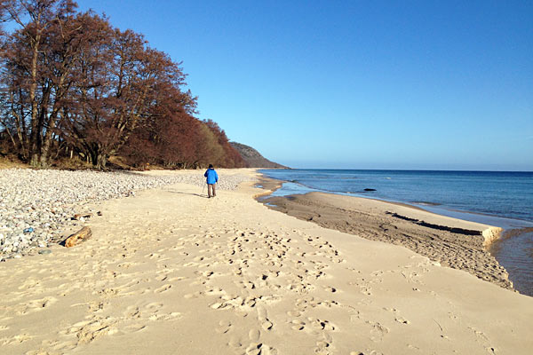 Fra gården er der 1,5 km til stranden Fra gården er der 1,5 km til stranden
