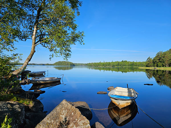 Sommerhus 100 meter fra sø Sommerhus 100 meter fra sø