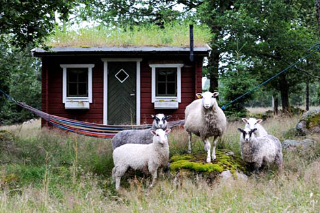 Vælg mellem tre hytter i smukt naturområde i Halland Vælg mellem tre hytter i smukt naturområde i Halland