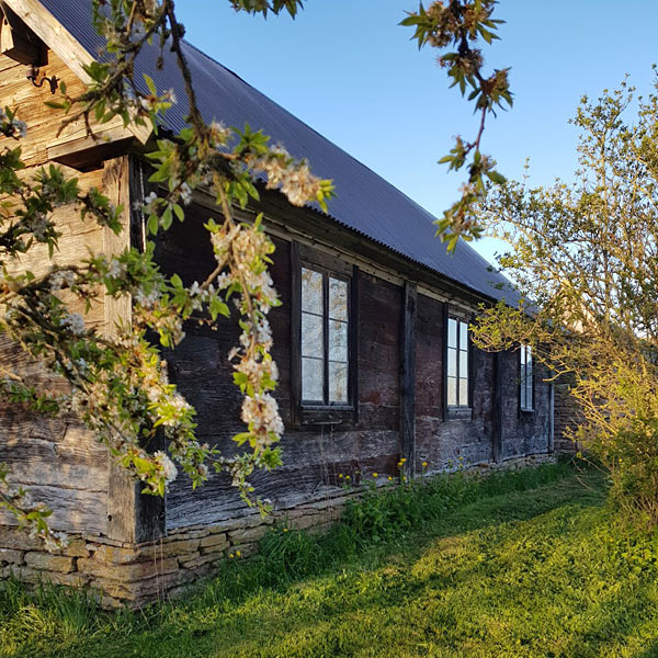 Skøn, dejlig gård på Øland