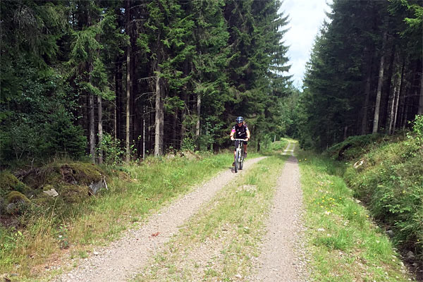 Kør mountainbike nær huset