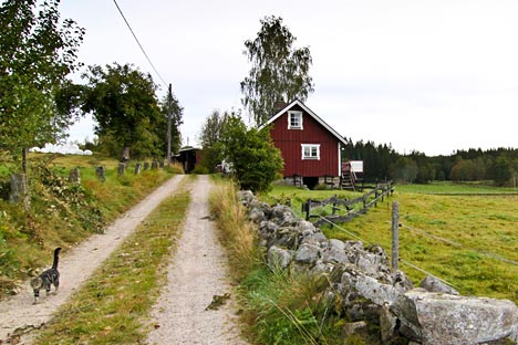 Sommerhus ved sø med båd