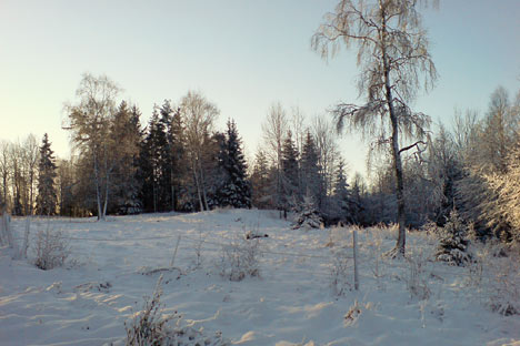 Vinterlandskab i Småland