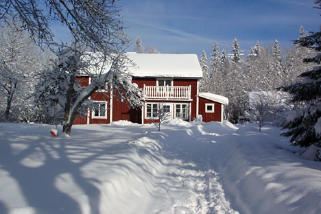 Vinter i Fågelleken Vinter i Fågelleken