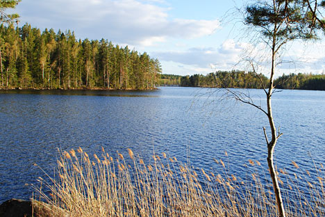 Feriehuset ligger 800 meter fra Örsjön