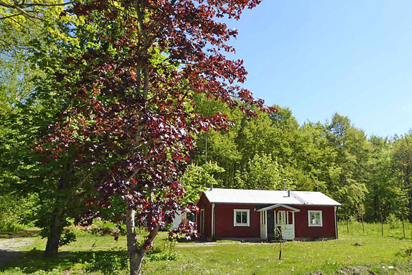 SwedCottages udlejer 50 svenske huse, også ødegårde