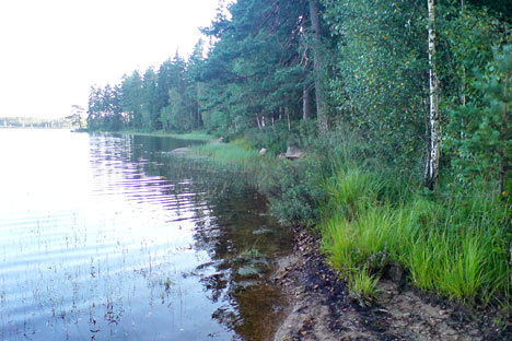 Naturen i området Naturen i området