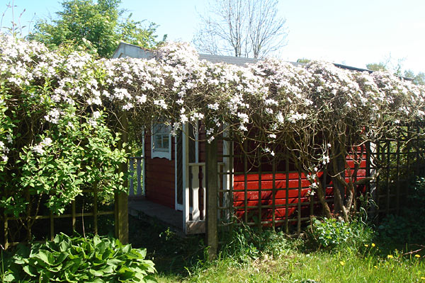 Træhuset på Kullen Træhuset på Kullen