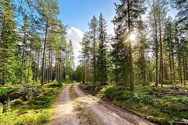 Naturen i omegnen Naturen i omegnen