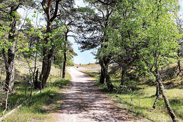 Sommerhus til 10 personer ved stranden i Yngsjö Sommerhus til 10 personer ved stranden i Yngsjö
