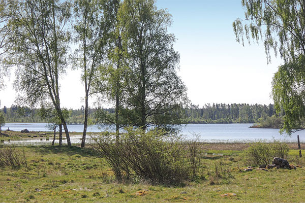 Naturen i området Naturen i området