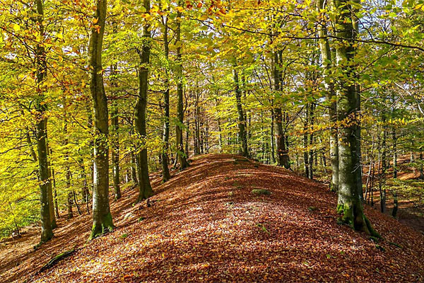 Grottbyn Vandrarhem i Skåne Grottbyn Vandrarhem i Skåne